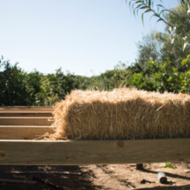 wood and hay