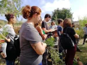 Workshop on regenerative farming and Permaculture